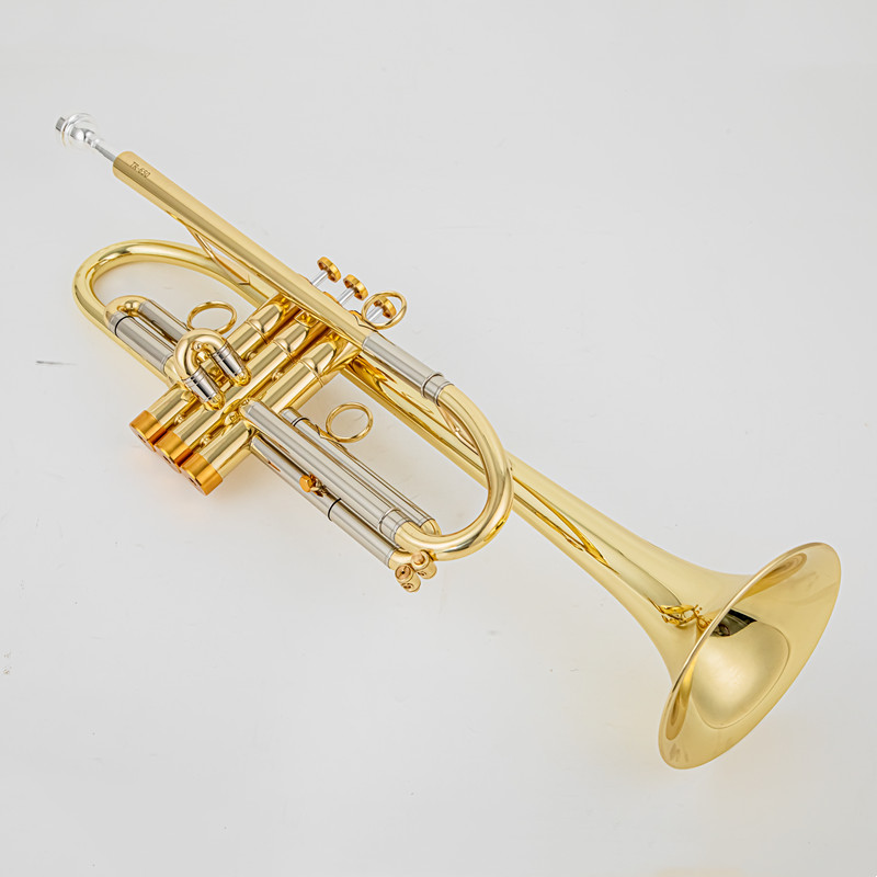Vincent Bach Trumpet Bb B Flat - Trombone Mouthpiece ulasan dan harga